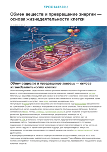 Обмен веществ и превращение энергии — основа