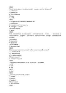 1 Какой органоид в клетке выполняет энергетическую функцию