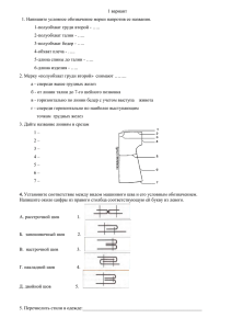 швы, мерки 7 кл ОЕА