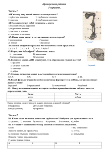 Проверочная работа. 1-вариант. Часть 1.