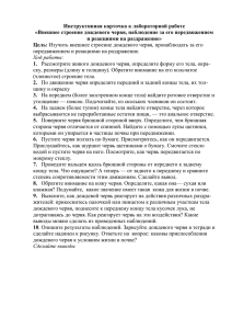 Инструктивная карточка к лабораторной работе