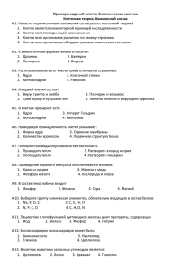 Примеры заданий: клетка-биологическая система Клеточная теория. Химический состав