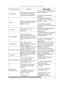 строение клетки и функции ее органоидов.