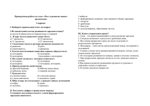 Проверочная работа по теме: «Рост и развитие живых организмов» I вариант