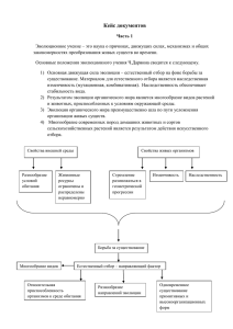 Кейс документов