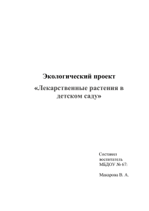 Экологический проект "Лекарственные растения в детском саду".