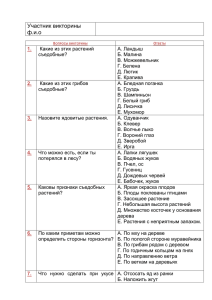 Задание викторины — школа безопасности