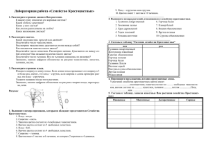 Лабораторная работа «Семейство Крестоцветные»