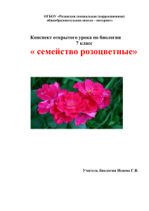 « семейство розоцветные»  Конспект открытого урока по биологии 7 класс
