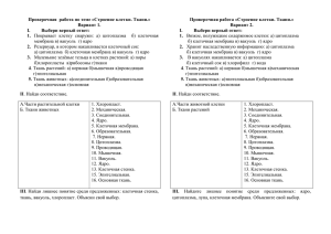 Проверочная  работа по теме «Строение клетки. Ткани.» Вариант 1.