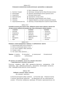 Задание  № 1 Задание  № 2