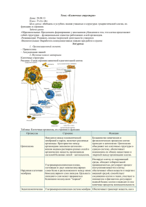 Тема: «Клеточные структуры» Дата: Класс: Цель урока: