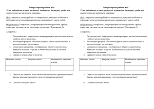 Лабораторная работа № 5