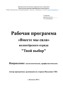 Рабочая-программа-волонтёрского-отряда