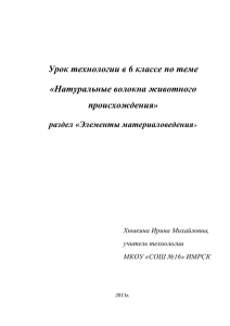 Урок технологии в 6 классе по теме «Натуральные волокна животного происхождения