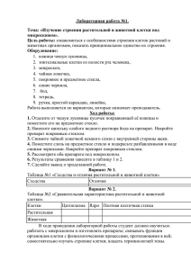 Лабораторная работа №1. Тема: «Изучение строения растительной и животной клетки под микроскопом».