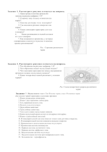 Задание 1. Рассмотрите рисунок  и ответьте на вопросы. 1-10?