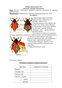 Лабораторная работа №4 Внешнее строение насекомого