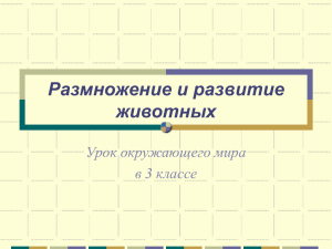 Размножение и развитие животных Урок окружающего мира в 3 классе