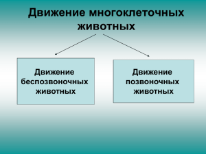 Движение многоклеточных животных