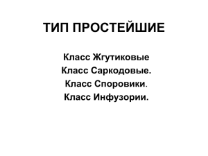 ТИП ПРОСТЕЙШИЕ