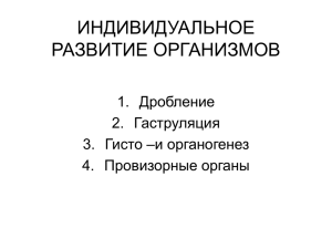 Индивидуальное развитие организмов