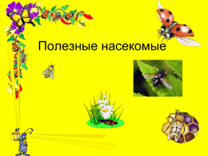 Полезные насекомые