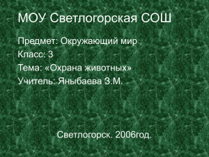 МОУ Светлогорская СОШ