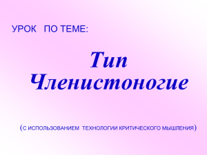 ТИП ЧЛЕНИСТОНОГИЕ