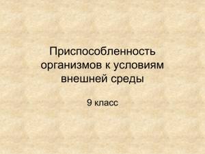 Приспособленность организмов к условиям внешней среды 9 класс