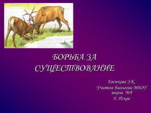 БОРЬБА ЗА СУЩЕСТВОВАНИЕ Евсюкова Э.К. Учитель Биологии МБОУ