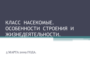 класс насекомые. особенности строения и жизнедеятельности.