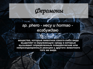 Феромоны гр. pherо - несу и hormао - возбуждаю