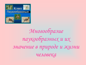 Многообразие паукообразных и их значение в природе и жизни