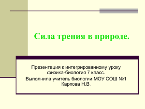 Сила трения в природе.