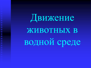 Движение животных в водной среде