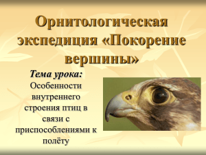 Особенности внутреннего строения птиц в связи с