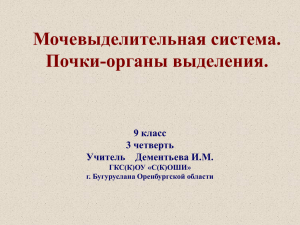 Мочевыделительная система. Почки-органы выделения. 9 класс 3 четверть