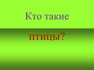 Из каких частей состоит тело птиц шея голова клюв туловище