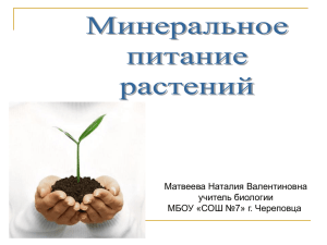 Матвеева Наталия Валентиновна учитель биологии МБОУ «СОШ №7» г. Череповца