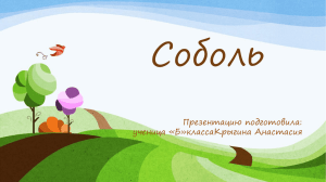 Соболь