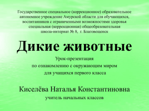 "Дикие животные". Презентация. Ознакомление с окружающим