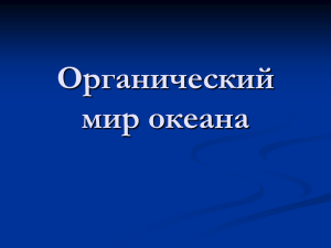 Экологические группы животных по отношению к воде.