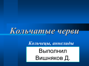 Кольчатые черви Выполнил Вишняков Д. Кольчецы, аннелиды