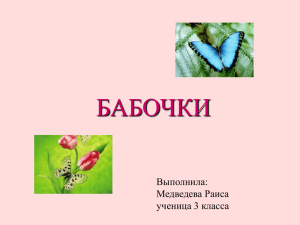 БАБОЧКИ Выполнила: Медведева Раиса ученица 3 класса