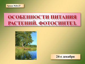 Особенности питания растений. Фотосинтез.