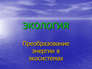 Преобразование энергии в экосистемах