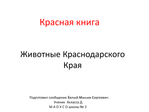 Животные Краснодарского Края