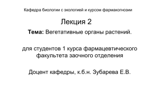 Лекция 3. Побег - осевой орган растения.