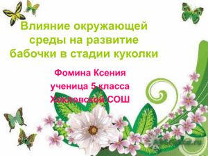 Влияние окружающей среды на развитие бабочки в стадии куколки Фомина Ксения